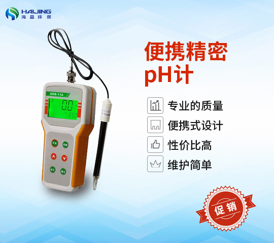 PHB-4型便携式微机型PH计